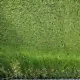 Искусственная трава MaxiGrass Deco 40 Искусственный газон МаксиГрасс 40